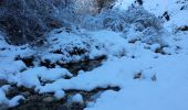 Randonnée Raquettes à neige Andon - Descente vers le Loup en raquettes - Photo 9