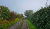 Tocht Stappen Philippeville - Balade de Roly à Villers-en-Fagne - Photo 11