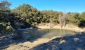 Trail Walking Aniane - grotte des reliques, montcalmes - Photo 5