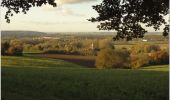 Excursión Bicicleta híbrida Puente-San-Maxence - balade automnale du 8 nov 2019 - Photo 3