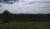 Tocht Stappen Roquebrune-sur-Argens - La Lieutenante - Photo 2