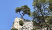 Excursión Senderismo Cheval-Blanc - PF-Cheval-Blanc - La Roquette - Le Trou du Rat - MDu - Photo 9