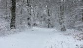Tocht Stappen Laguiole - Bouyssou sous la neige  - Photo 11