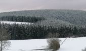 Trail Walking Fauvillers - Sur les traces des chevaliers maudits de Bodange  - Photo 6