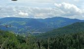 Tour Wandern Le Syndicat - Circuit depuis col du chéneau par brasserie et point de vue - Photo 8