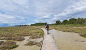 Tocht Stappen Vic-la-Gardiole - Circuit des salines  - Photo 9