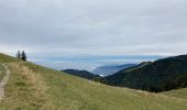 Trail Walking Montreux - Le PACCOTA  - Photo 1