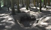 Randonnée A pied Bastogne - Promenade du chemin des Pélerins - Photo 6