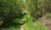 Trail Walking Gedinne -  Vallée De la Hulle Bourseigne la neuve - Photo 10