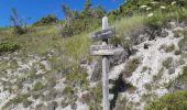 Excursión Senderismo Jausiers - le lac des sagnes - Photo 3