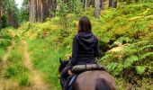 Tour Reiten Mollkirch - 2019-08-03 Balade Heidenkopf après Maréchal  - Photo 2