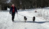 Trail Walking Stosswihr - Les 3 Fours - col de la Schlucht - Photo 3