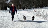 Randonnée Marche Stosswihr - Les 3 Fours - col de la Schlucht - Photo 3