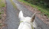 Trail Horseback riding Saint-Martin - St Martin domevre bois banal Pont rouge blockhaus  - Photo 17