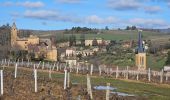 Trail Walking Ville-sur-Jarnioux - Ville sur Jarnioux - Photo 1