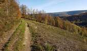 Trail Horseback riding Viroinval - Oignies- Nobertin- La folie-Oignies - Photo 6