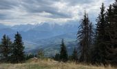 Trail Walking Cordon - LES MOUILLES-PIC NOIR-LA CABANE DU PETIT PATRE - Photo 7