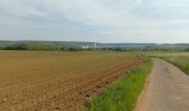 Tocht Mountainbike Virton - Monquintin  -  Balade_VTT_22Kms - Photo 12