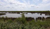 Tour Wandern Audenge - Grande boucle du domaine de Certes-Graveyron - Photo 12