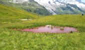 Tocht Stappen Chamonix-Mont-Blanc - Aiguillette des Posettes - Photo 3