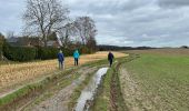 Excursión Senderismo Wavre - #240209 - Bierges, autour du Bois Wilmet** (version courte horlogique) - Photo 9