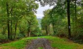 Trail Walking Doische - La Boucle de l'Hermeton - Photo 9