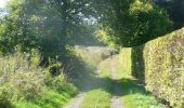 Tour Zu Fuß Libin - WandArdNat 34 :Lesse een groen wandelsprookje tussen Lesse en Our - Photo 9