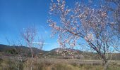 Tour Wandern Cucuron - Boucle Cucuron 20.02.2022 - Photo 4