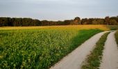 Tocht Te voet Gomadingen - Rund um den Lämmerbuckel - Photo 5