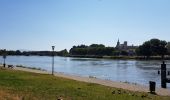 Excursión Cicloturismo Sauveterre - Sauveterre - Arles - Photo 8