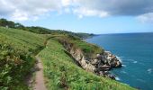 Tour Wandern Douarnenez - Douarnenez - GR34 AR les Roches Blanches Pointe de la Jument  - 9.3km 250m 3h30 - 2019 09 01 - Photo 2