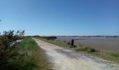 Percorso Bici ibrida Rochefort - Rochefort -les marais-embouchure de la Charente  - Photo 10