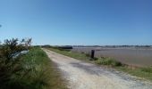 Excursión Bicicleta híbrida Rochefort - Rochefort -les marais-embouchure de la Charente  - Photo 10