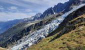 Trail Walking Chamonix-Mont-Blanc - La Jonction - Photo 4