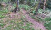 Trail Walking Taintrux - Marche 25-05-22 18Km Climont  - Photo 7