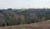 Randonnée Marche La Roche-en-Ardenne - rando samrée 19-03-2024 - Photo 14