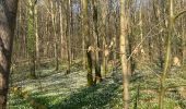 Trail Walking Beauvechain - Meerdael et molendaal à partir de Hamme Mil - Photo 7