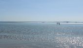 Tocht Stappen Le Crotoy - balade baie de somme - Photo 13