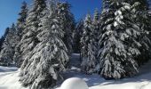 Tour Schneeschuhwandern Sevrier - GR SEMNOZ croisement Quintal Benevent - Photo 5