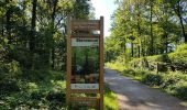 Tour Wandern Boissy-Saint-Léger - La forêt Notre Dame et le parc du Morbras - Photo 4