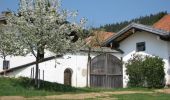 Tour Zu Fuß Mauth - Schnecke (Rundweg Finsterau) - Photo 3