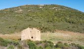 Trail Walking Appietto - Mont Gozzi en partant de la chapelle San Chirgu d'Appieto - Photo 7