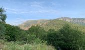 Tour Wandern Le Broc - Pont de l'Estéron, Chapelle Sainte Marguerite, bord de l'Estéron - Photo 4