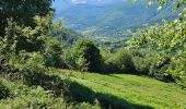 Tour Wandern Villeneuve - villeneuve 09 Jacques 13/06/24 - Photo 2