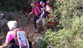 Trail Walking Le Pradet - La Colle Noire - Photo 6