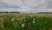 Excursión Senderismo Maastricht - autour de la carrière Montagne St Pierre  - Photo 6