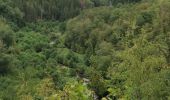 Tour Wandern Bouillon - Dohan 12km 2020  - Photo 10