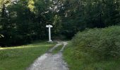 Trail Walking Compiègne - Randonnée en Forêt de Compiègne_51_le Mont du Tremble et les Beaux Monts - Photo 5