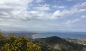 Trail Walking Collioure - Tour de Madaloc - Photo 1
