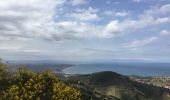 Randonnée Marche Collioure - Tour de Madaloc - Photo 1